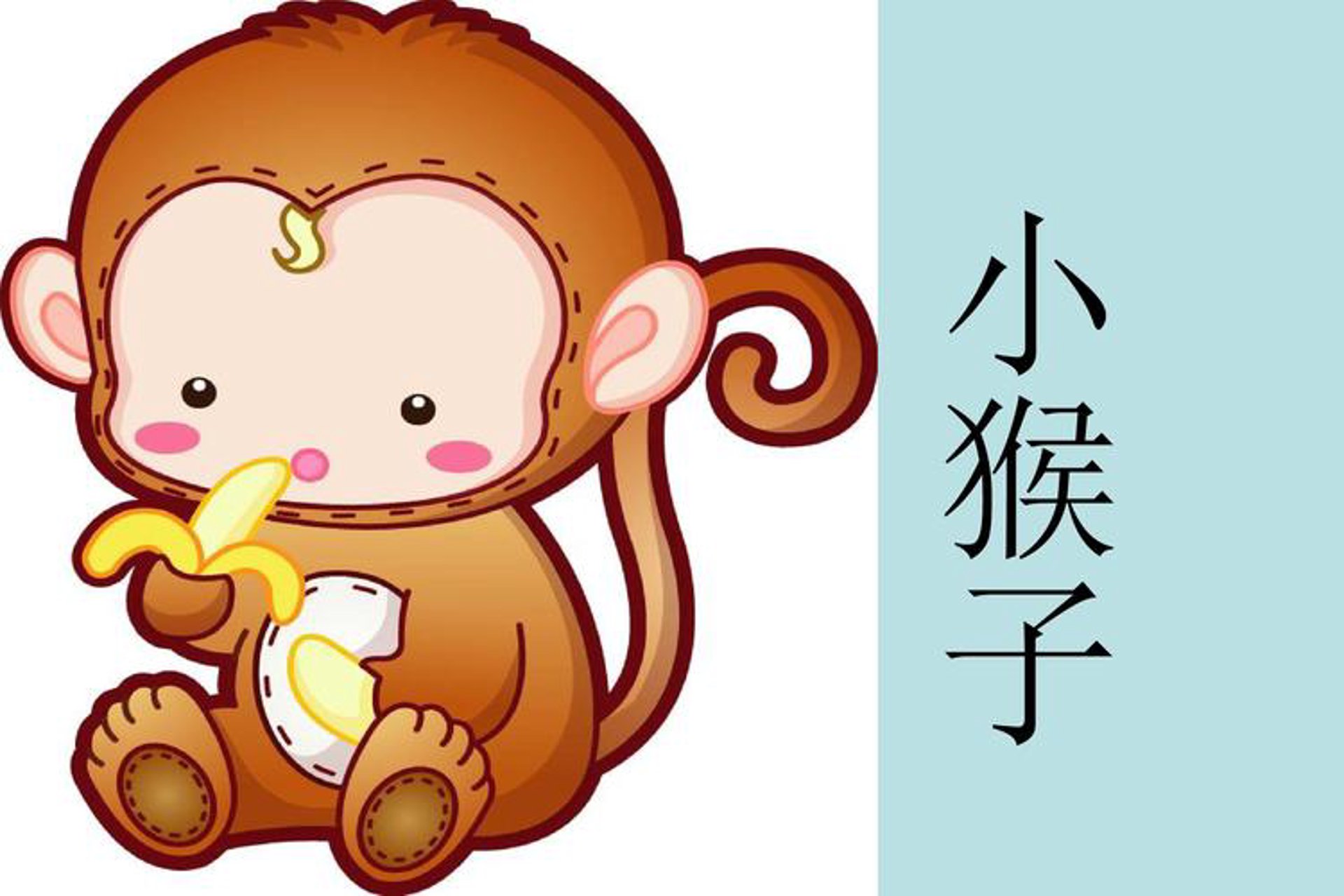 小猴子建筑资料